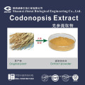 high quality 10:1 20:1 Codonopsis extract